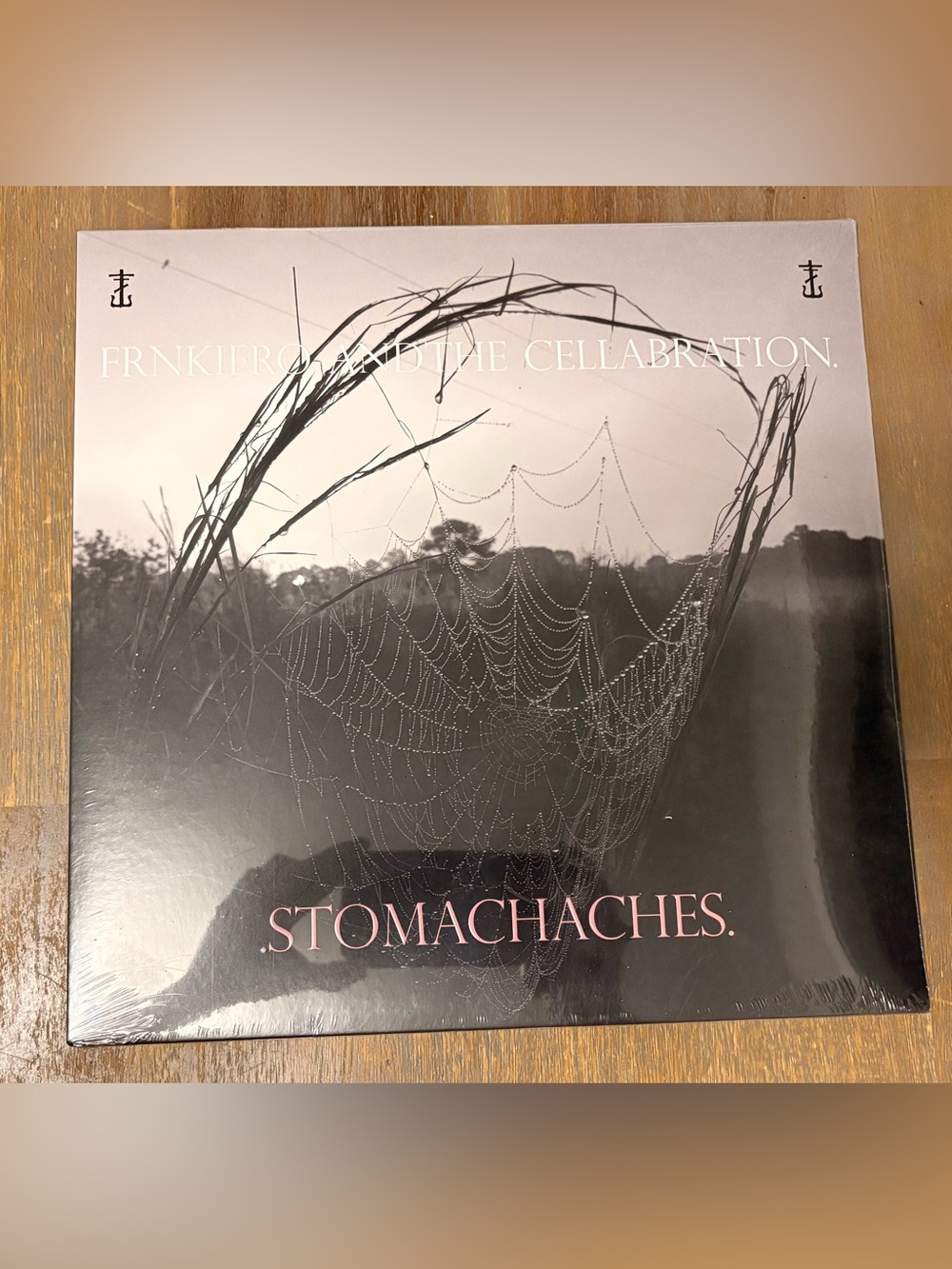 Frank Iero From My Chemical Romance Stomachaches LP Vinyl SEALED Limited Record.